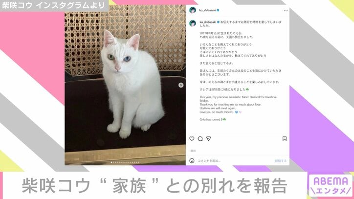 柴咲コウ Instagramより