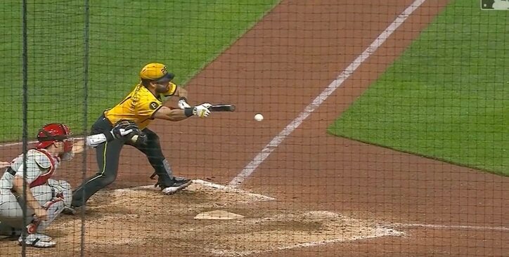 【写真・画像】「ヤバいの映ってる」女性ファンが観客席に持ち込んだ“謎の珍獣”が話題に「なんで？w」「いくらなんでもデカすぎ」　1枚目