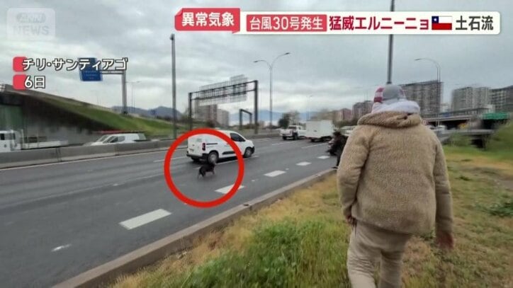 自力で川からはい上がる