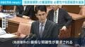 「国旗損壊罪」の審議開始 必要性や処罰範囲を議論