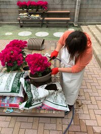 北斗晶『壁が完成～』