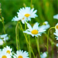 小林麻央オフィシャルブログ「KOKORO.」Powered by Ameba