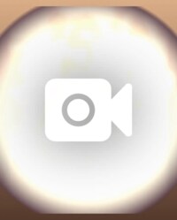 野沢直子『衝動買い』