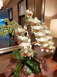 小林麻耶『2021/12/26』