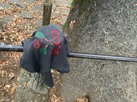 アレクサンダー『あっ　あっ、、、　あった‼️』