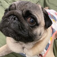 佐々木かい『こんばんは』