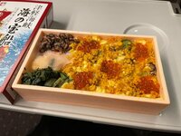 大渕愛子『今日は広島へ』