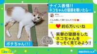 【映像】ポチちゃんの驚きの寝顔（0分40秒ごろ～）