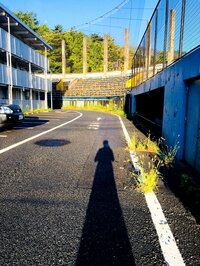 平祐奈『女川 いのちの坂道』