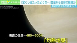「身近に地球外生命体がいるかも」金星から生命の痕跡？ 観測の練習中に新発見