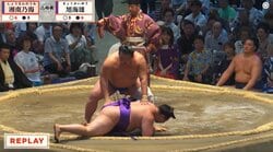 「あの美人さん去年もいた」大相撲、“新・溜席の妖精”が再降臨で話題 「お召し物が個性的」「姿勢キレイ」