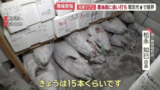 冷凍室の中は、極寒の世界