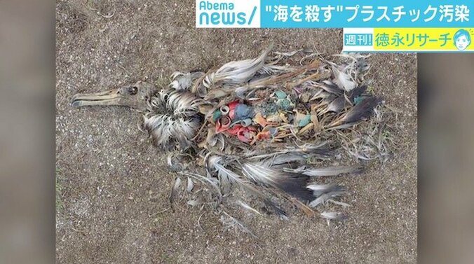 “海を殺す”マイクロプラスチック汚染、日本周辺は「ホットスポット」にも 1枚目