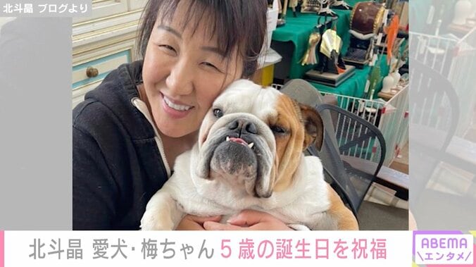 北斗晶、愛犬・梅ちゃんの5歳誕生日を祝福「私にたくさんの幸せをくれた」 1枚目