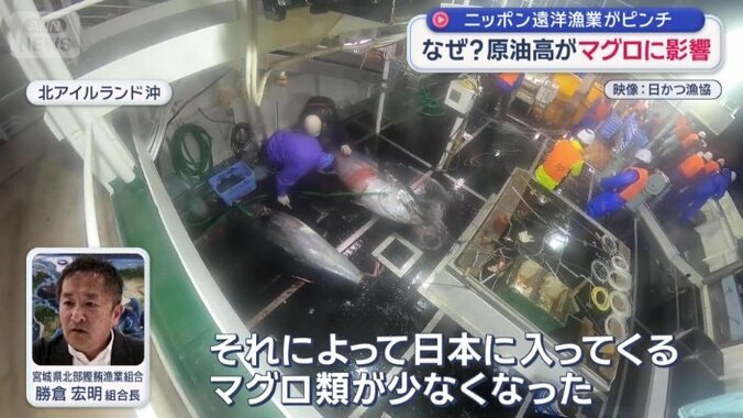 目下の懸念は海外産のマグロ