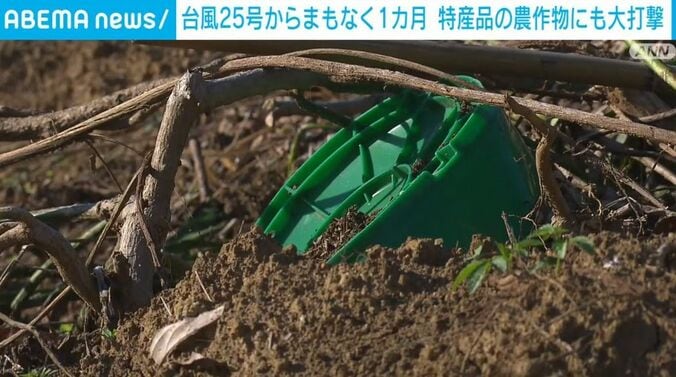 神奈川県