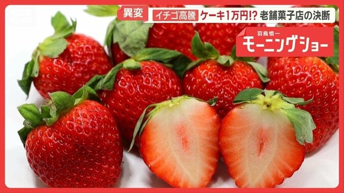 イチゴ高騰がクリスマス直撃　生育不良…生産現場で何が　“真っ白ケーキ”登場のワケ 1枚目