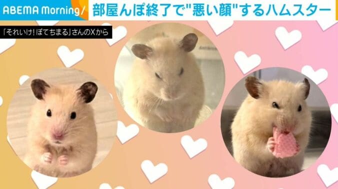 ぽてちまるくん