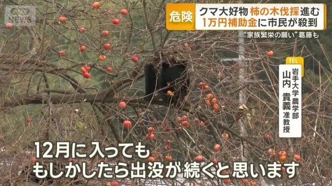 「12月に入っても、もしかしたら出没が続く」