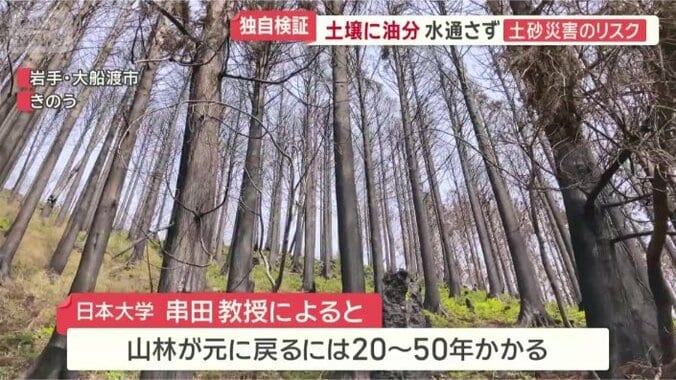 植林が必要だが…