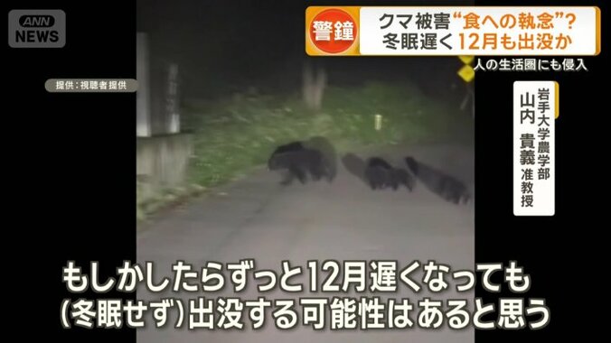 「（冬眠せず）出没する可能性はある」