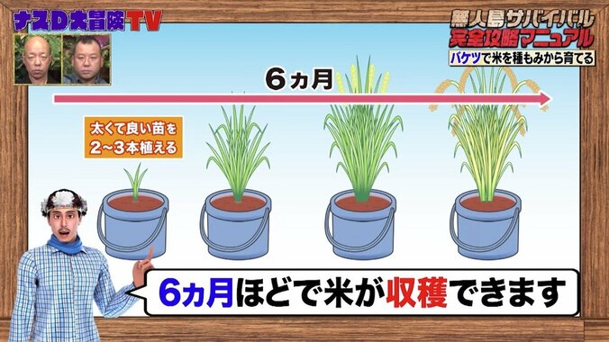 ナスDが明かす“レジ袋で野菜を苗から育てる方法”に井上咲楽が興味津々「すごくないですか!?」 2枚目