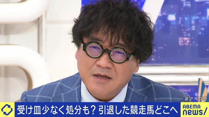 「走れなくなっただけでお肉にしてしまうのはもったいない」馬刺し・家畜の餌になるケースも…競走馬、年間1万頭の“余生”を考える 2枚目