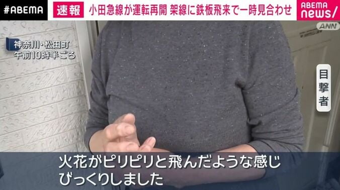 目撃者