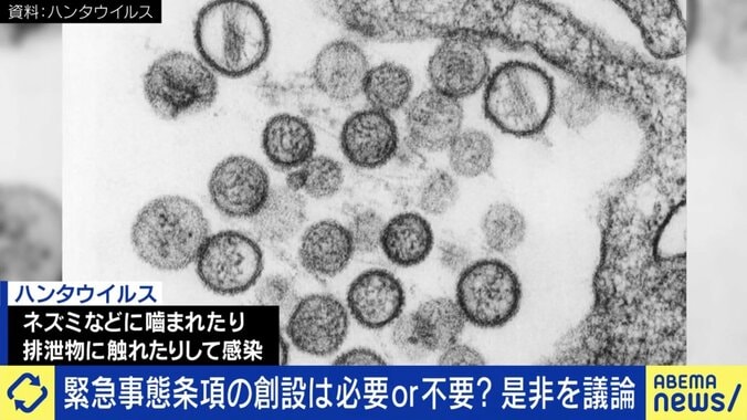 高い致死率のハンタウイルス（拡大）