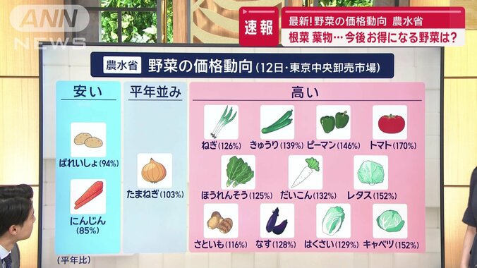 野菜の価格動向