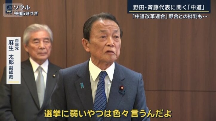 自民党　麻生太郎副総裁