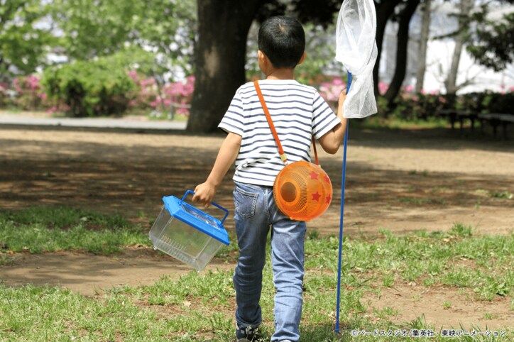 【写真・画像】アニメ『ドラゴンボールZ』よりナメック星のドラゴンボールを彷彿とさせる直径17cmの“四星球”が虫かごになって登場！　6枚目