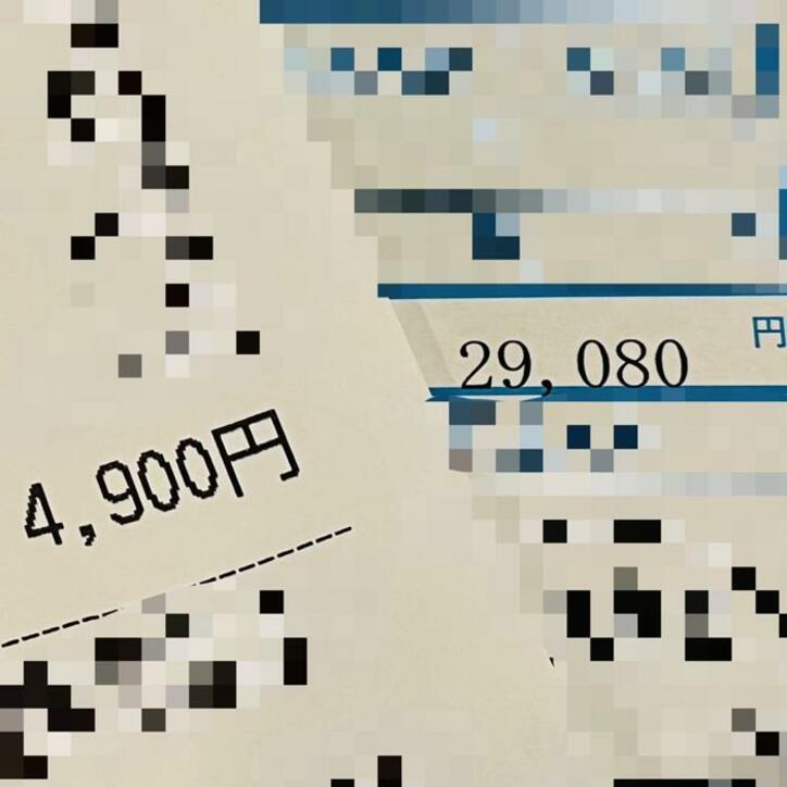  だいたひかる、病院で検査を受けた日の医療費を明かす「病気になって、貯金は心のゆとりと」 