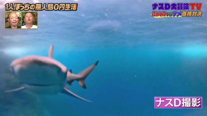 ナスD、無人島でついにサメを捕獲！ 海中“ライドオン”にバイきんぐも衝撃「命がけだよ…」「なんで躊躇なく行けるの？」