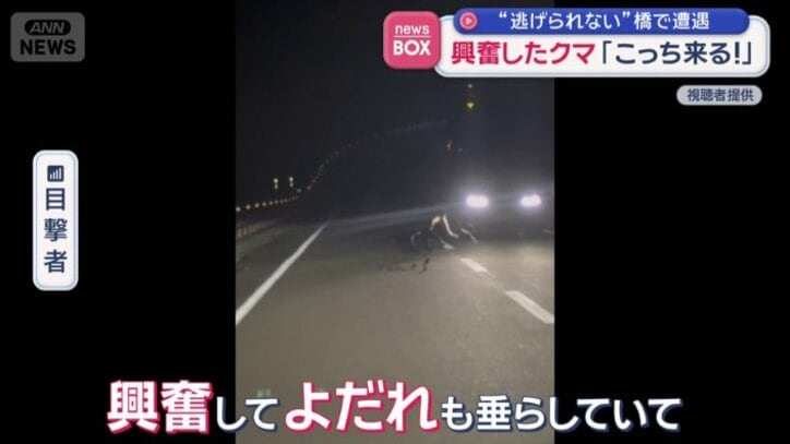 よだれを垂らすクマ