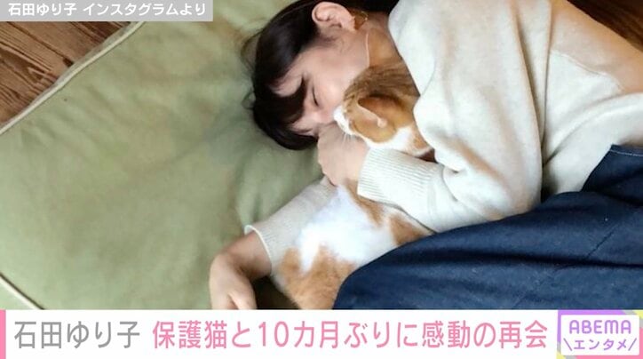 石田ゆり子、育てていた保護猫と10カ月ぶりに再会する動画を公開し「感動で涙です」の声 1枚目