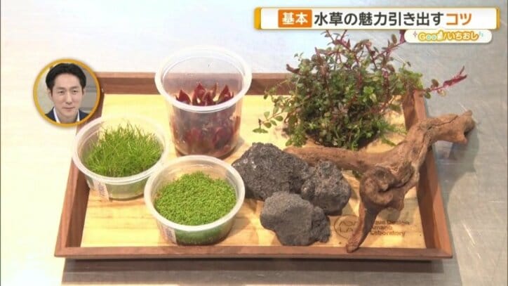 佐々木アナウンサーが選んだアイテム