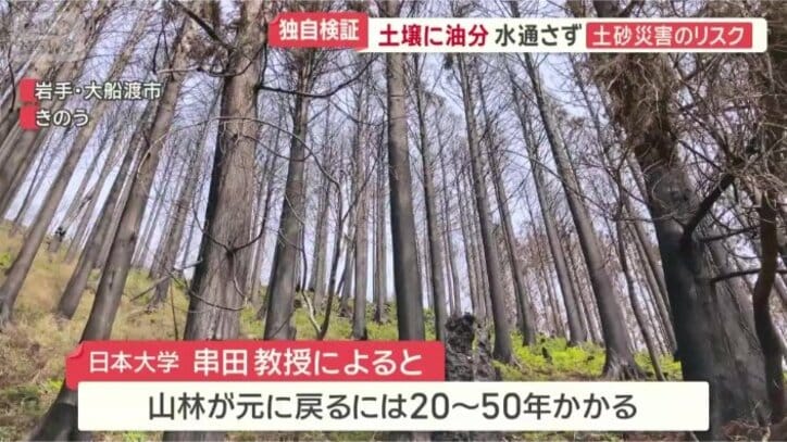 植林が必要だが…
