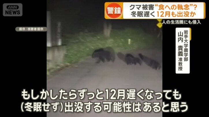 「（冬眠せず）出没する可能性はある」