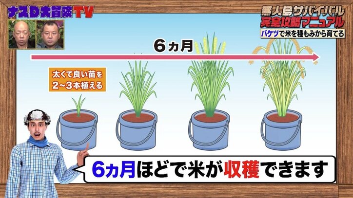 ナスDが明かす“レジ袋で野菜を苗から育てる方法”に井上咲楽が興味津々「すごくないですか!?」