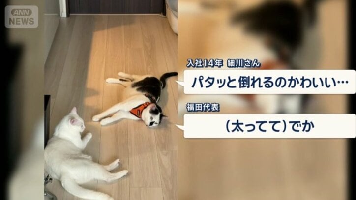 「たてはくん珍しく電池切れです」