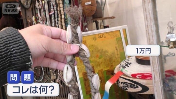 貝が付いたロープ