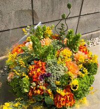 織田信成『誕生日!』