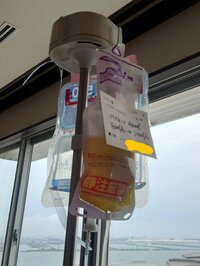 秋野暢子『さて、胃ろうの練習』