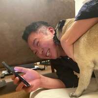 佐々木かい『おセンチパグ』