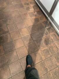 市川團十郎白猿『2024/11/26』