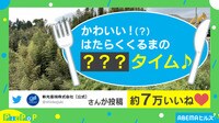 【映像】実は草食? 貴重な重機の食事風景!?