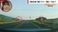 【映像】我が物顔で歩道を走行する高齢ドライバー
