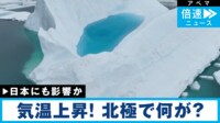 【映像】氷の面積が一目瞭然…北極“衛星画像”