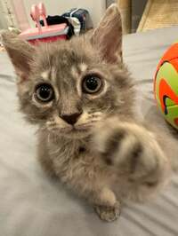 川崎希『はじめまして♡』